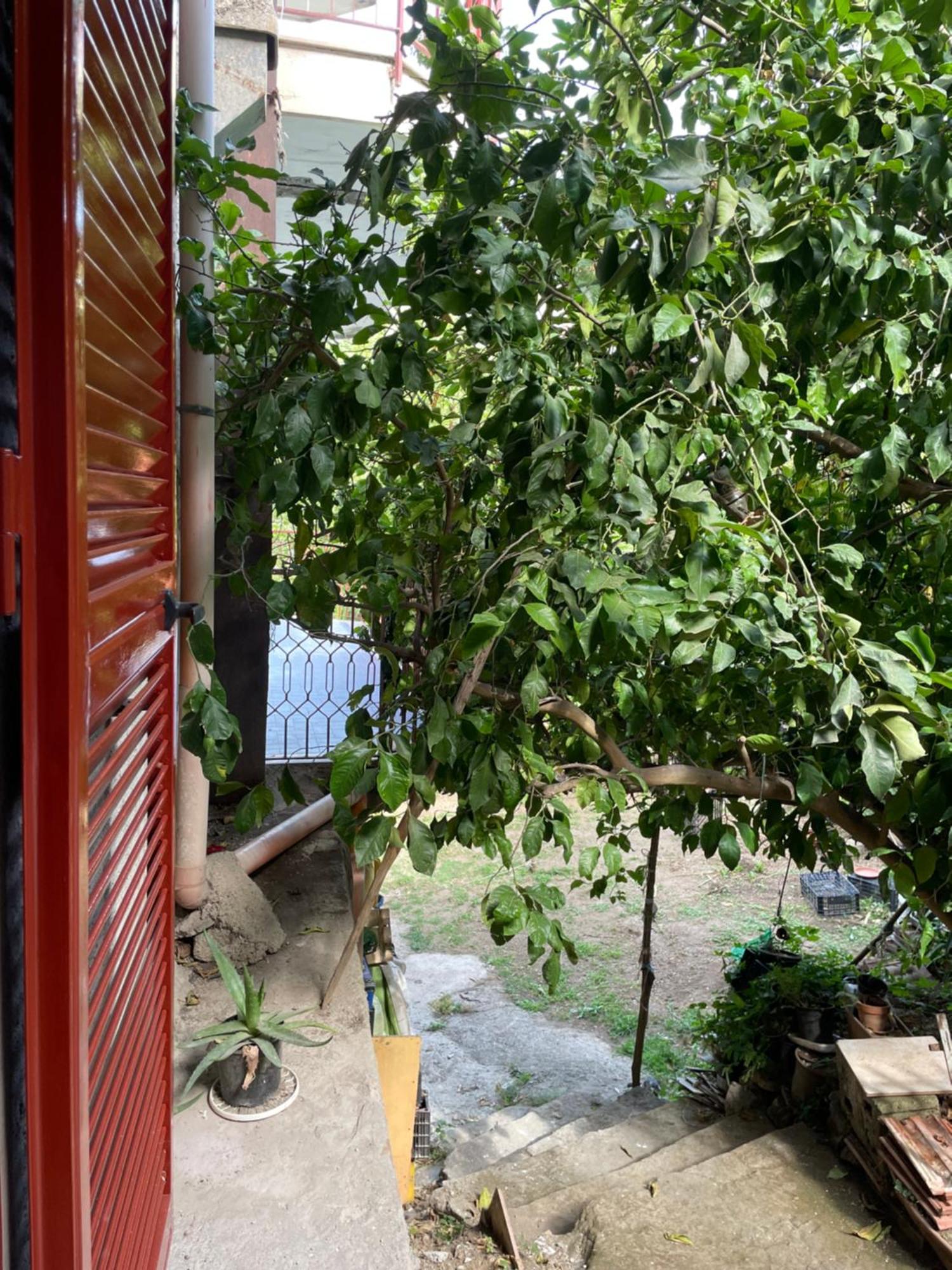 Green Heaven Pimonte Εξωτερικό φωτογραφία